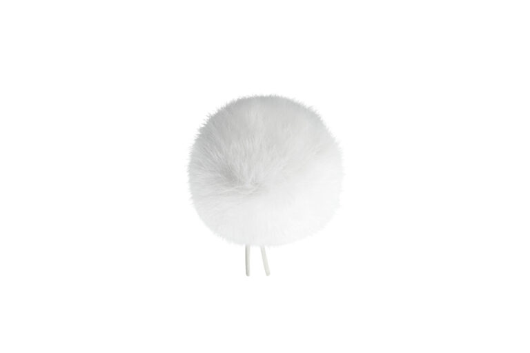 BBI The Windbubble