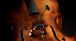 4099-and-Clip-Cello2
